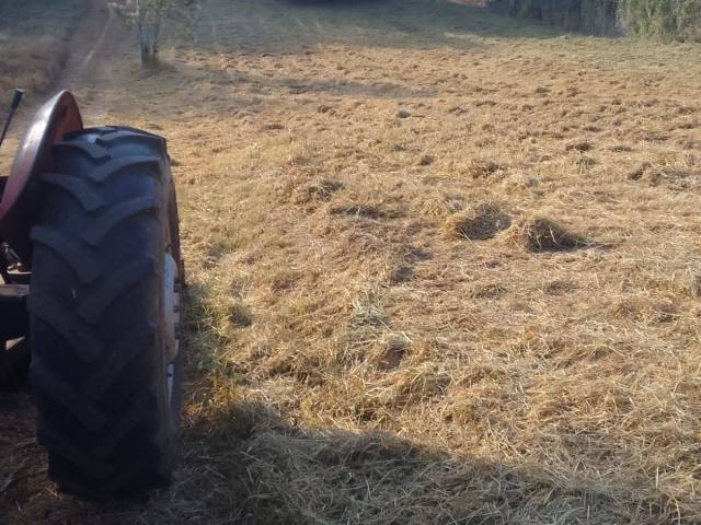 Área para Venda em Pouso Alegre - 4