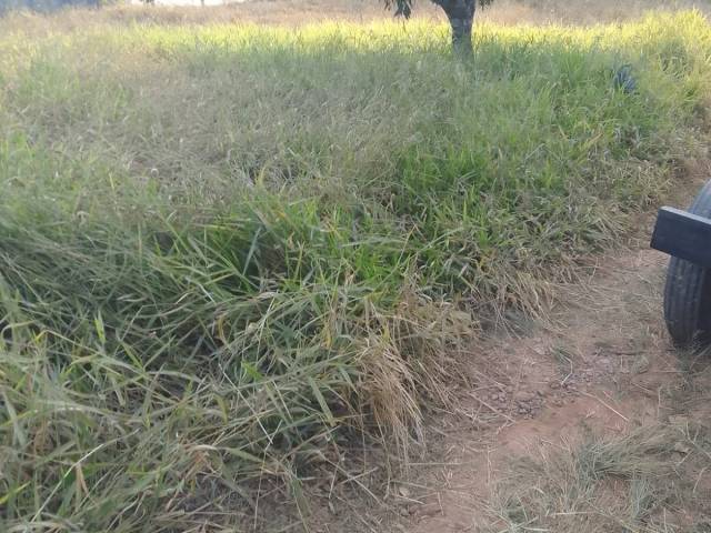 #13 - Área para Venda em Pouso Alegre - MG - 3