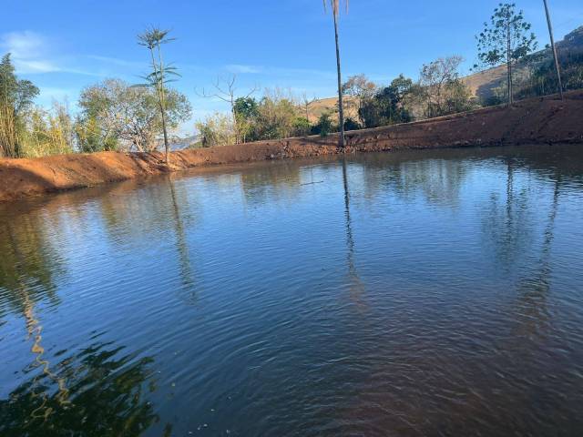 Área para Venda em Senador José Bento - 4