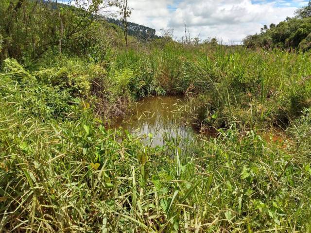 #26 - Chácara para Venda em Ipuiúna - MG - 2