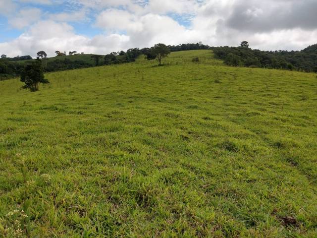 #26 - Chácara para Venda em Ipuiúna - MG - 3