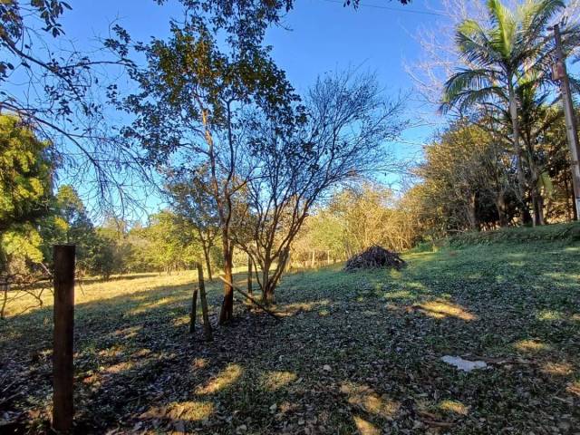 #31 - Chácara para Venda em Congonhal - MG - 3