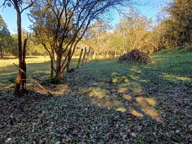 #31 - Chácara para Venda em Congonhal - MG - 2