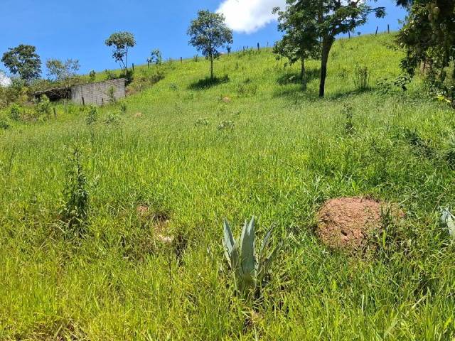 #37 - Área para Venda em São Sebastião da Bela Vista - MG - 1