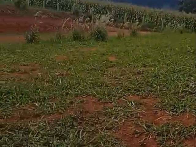 #44 - Chácara para Venda em Congonhal - MG - 2